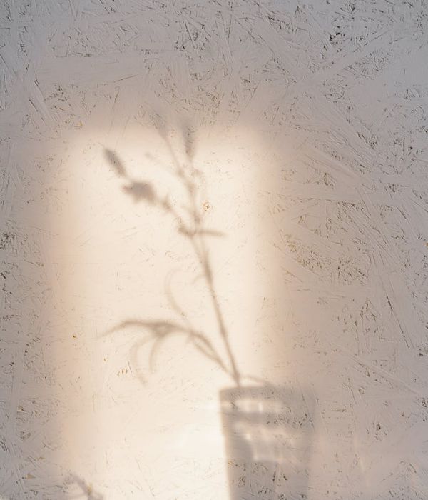 Person meditating in a peaceful, minimalist room with soft light.